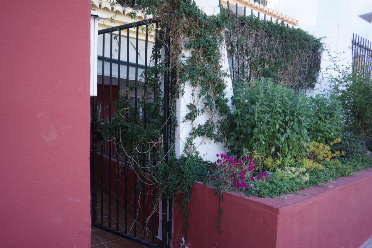 Cute And Relaxing Bed And Breakfast En Albayzin Granada Exterior photo